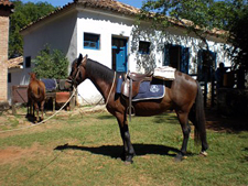 Brazil-Rio/Sao Paulo-Plantation Ride